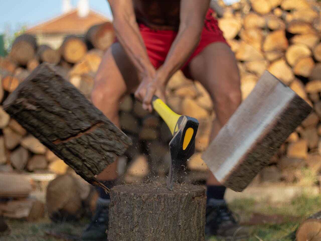 Best Tree Branch Trimming  in Montrose, PA